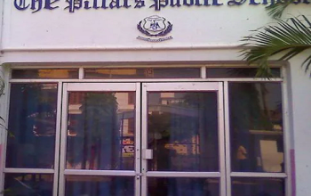 The Pillars Public School