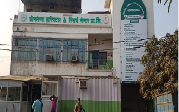 Green Land Hospital