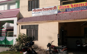 Neelam Pathology