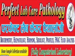 Perfect Lab Care Pathology