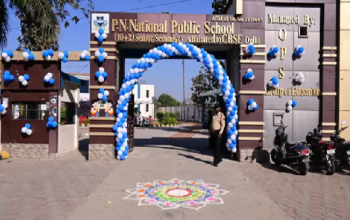 PN National Public School