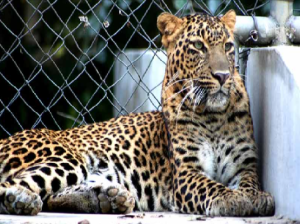 Kanpur Zoological Park