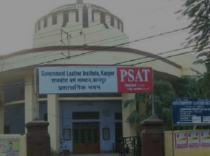 Government Leather Institute