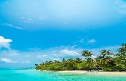 Goa