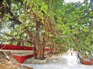 Akshayavat