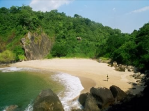 Butterfly Island and Beach
