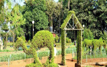 Hanging Gardens