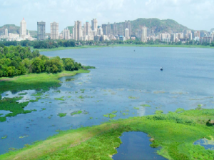 Powai Lake