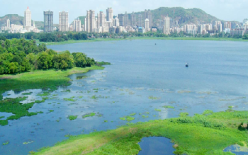 Powai Lake