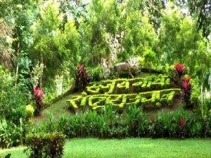 Sanjay Gandhi National Park