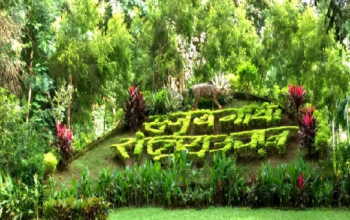 Sanjay Gandhi National Park