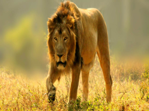 National Zoological Park