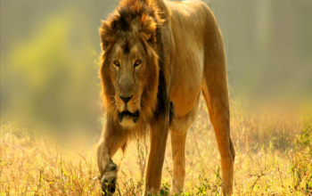 National Zoological Park