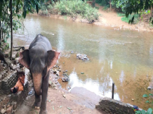 Bhagwan Mahavir Wildlife Sanctuary
