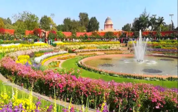 Mughal Garden