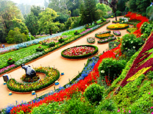 National Indo-Africa Friendship Rose Garden