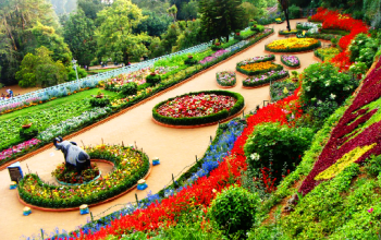 National Indo-Africa Friendship Rose Garden