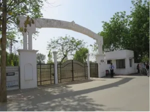 Chinhat Block Employee