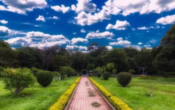 Cubbon Park