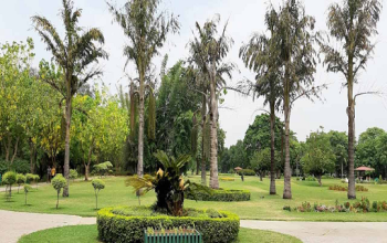 Garden of Fragrance