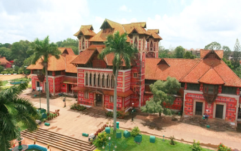 Napier Museum