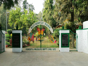 Butterfly Park