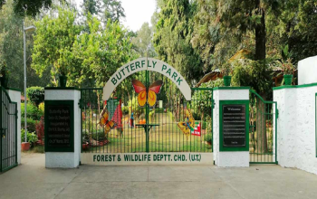Butterfly Park