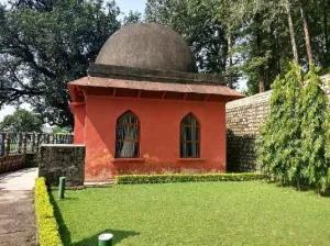 Kalsi Dehradun