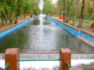 Lacchiwalla