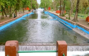 Lacchiwalla