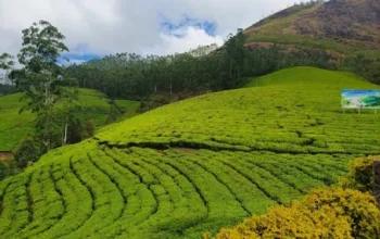 Munnar