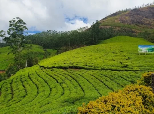 Munnar