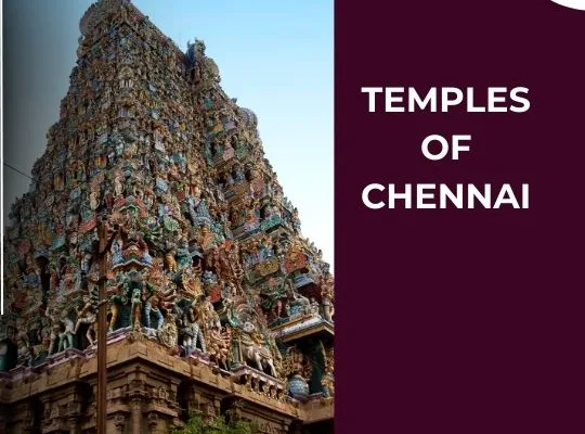 Sacred Splendor: A Deep Dive into the Temples of Chennai