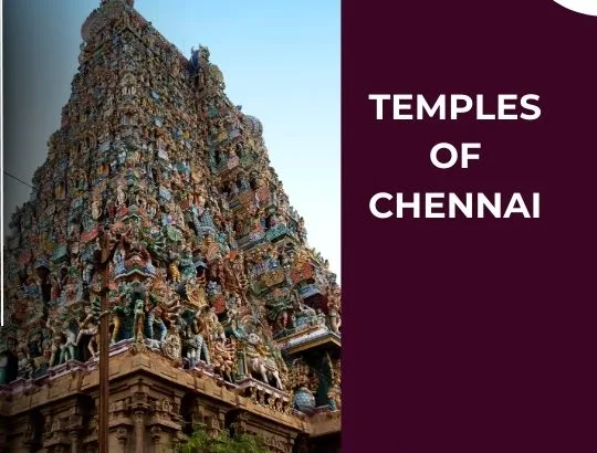 Sacred Splendor: A Deep Dive into the Temples of Chennai