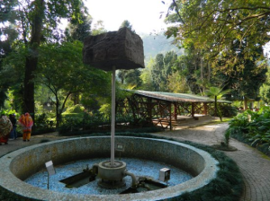 Saramsa Garden