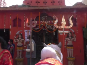 Shree Hatkeshwar Mahadev, Raipur