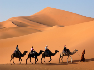 Pushkar Camel Safari
