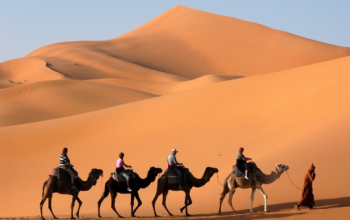 Pushkar Camel Safari