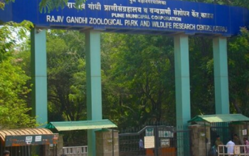 Rajiv Gandhi Zoological Park, Bengaluru