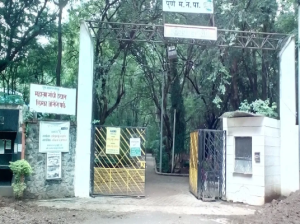 Mahatma Gandhi Udyan, Pune