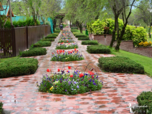 Badam Wari Park
