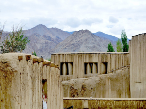 Zorawar Fort