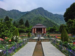 Cheshma Shahi Garden, Srinagar