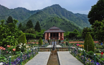Cheshma Shahi Garden, Srinagar