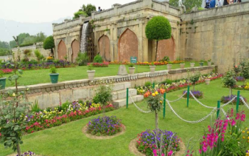 Nishat Garden, Shrinagar