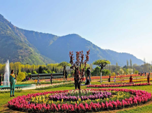 Jawaharlal Nehru Botanical Garden, Sikkim