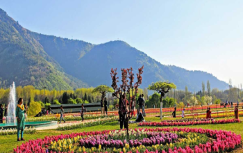 Jawaharlal Nehru Botanical Garden, Sikkim