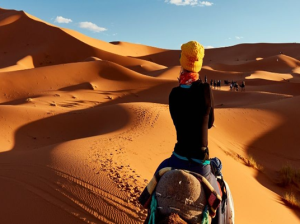 Sand Dunes, Pushkar