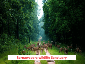 Barnawapara Wildlife Sanctuary