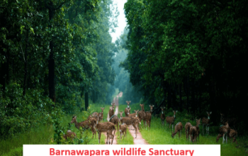 Barnawapara Wildlife Sanctuary